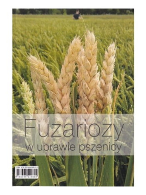 fuzariozy_w_uprawie_pszenicy