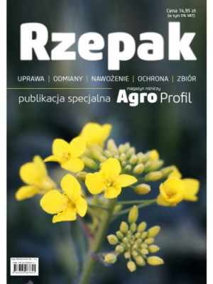 Rzepak – uprawa, odmiany, nawożenie, ochrona, zbiór