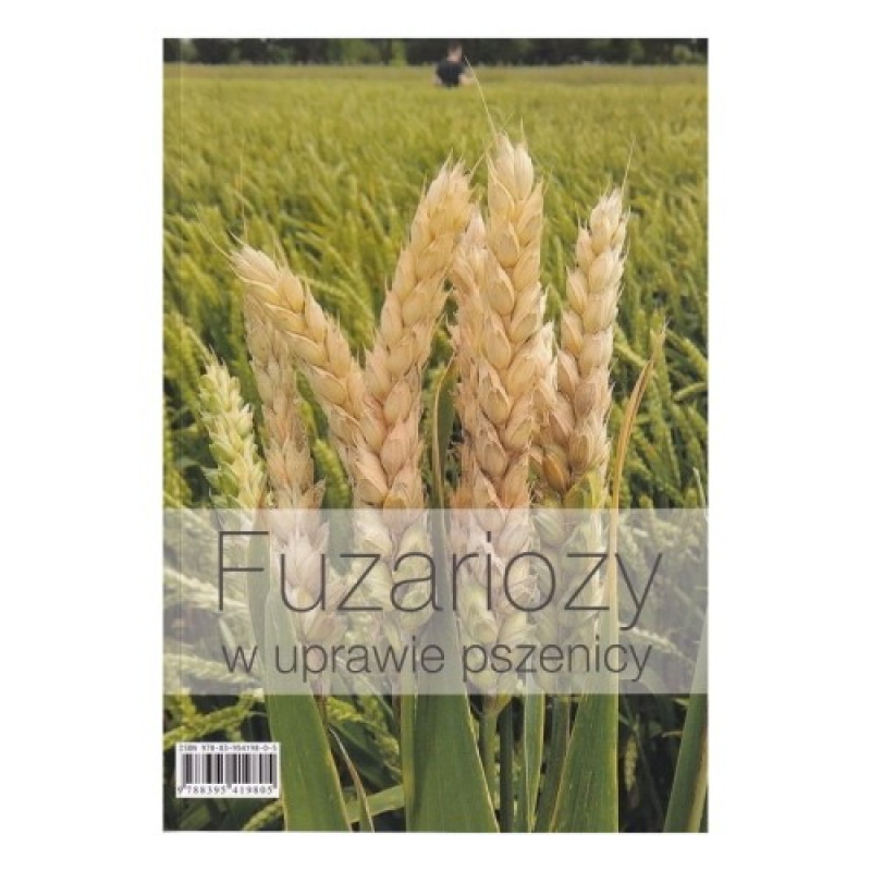 fuzariozy_w_uprawie_pszenicy